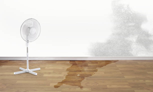 Best Water damage restoration company  in Highland, IL